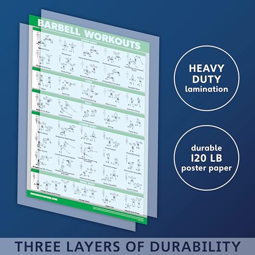 Palace Learning 4 Pack - Dumbbell + Barbell + Bodyweight Workouts - Muscle Set of 4 Laminated Charts (18'' x 24'')