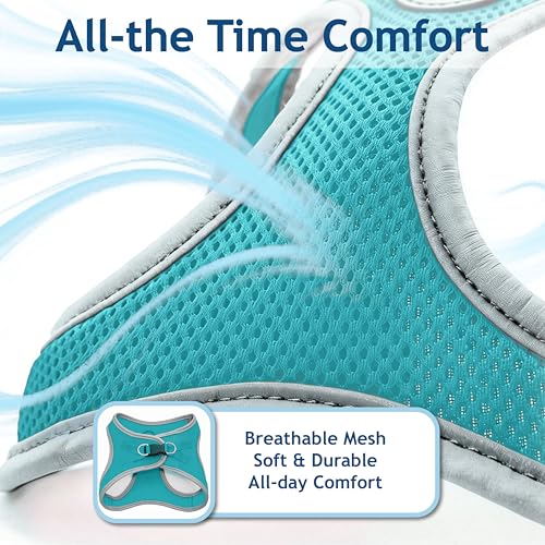 Kruz Dog Harness (Chest 16"-17", Weight 10–15 lbs) Athletica Adjustable Heavy Duty No Choke Puppy Vest for Small Dogs Lightweight Air Mesh, Reflective, Puppy Essentials – Turquoise, Medium