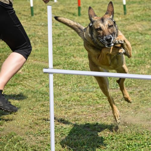 Shappy 4 Pcs Dog Agility Jumps Adjustable Height Hurdles with Bag,White - color: White