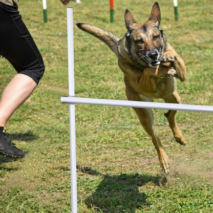 Shappy 4 Pcs Dog Agility Jumps Adjustable Height Hurdles with Bag,White - color: White