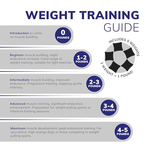 ActiveDogs Weighted Dog Collar for Muscle Building and Tactical Training - Dog Weighted Vest for Exercise - Includes 5x1lb Weights & Sheepskin Padding - Ideal for K9, Bully, Bull Terrier & More