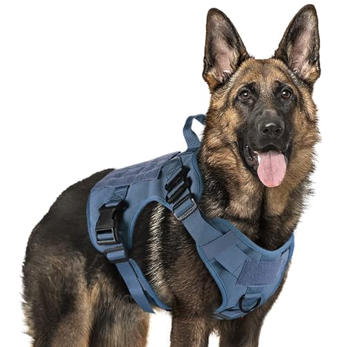 rabbitgoo Tactical Dog Harness X-Large, Heavy Duty Military No Pull Vest - color: Blue, size: X-Large