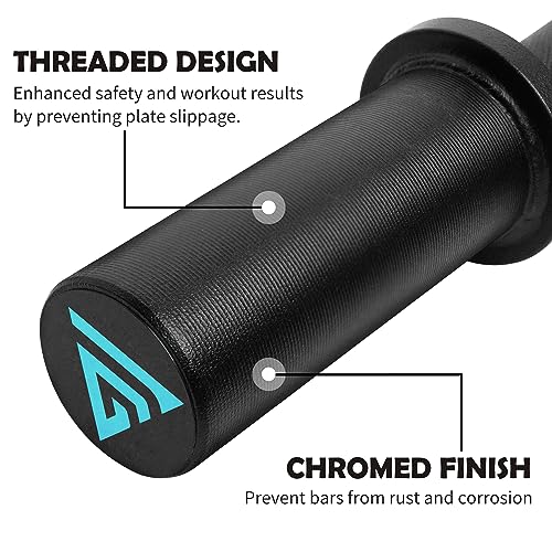 16" Olympic Dumbbell Handle, Dumbbell Bar for 2-inch Olympic Weight Plates, Loadable Dumbbells for Home Gym Strength Training, 2 Pair of Spring Collars Included