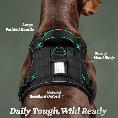 rabbitgoo Dog Harness Medium Sized No Pull, Tactical Service Pet Vest with Molle and Control Handle, Adjustable and Reflective Military Harness for Easy Walking and Training, Black, M