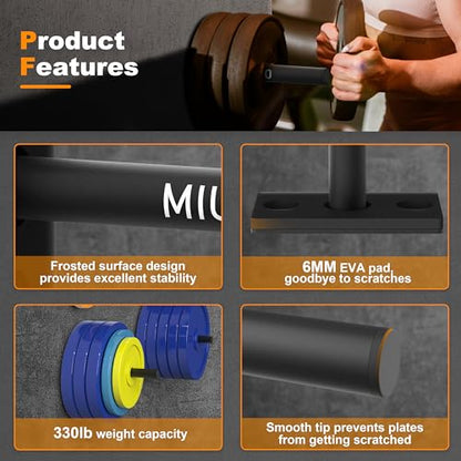 Weight Plate Holder, Wall Mounted Weight Rack Storage for Weight Plates, Home Gym Organizer