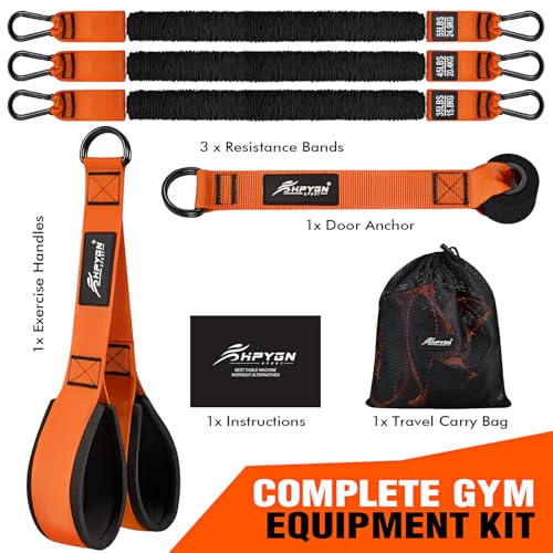 HPYGN Resistance Bands Training for Arms, Biceps, Triceps, Back, Abs, Shoulders, Heavy Duty Exercise Bands with Handles, Door Anchor, Home Gym Workout Equipment for Tricep Pushdowns, Face Pulls