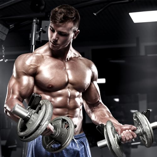16" Olympic Dumbbell Handle, Dumbbell Bar for 2-inch Olympic Weight Plates, Loadable Dumbbells for Home Gym Strength Training, 2 Pair of Spring Collars Included - color: Silver