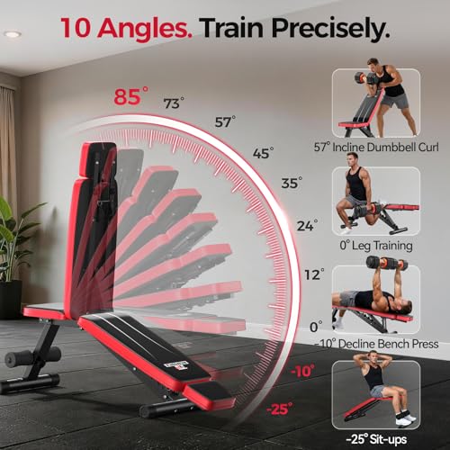 Adjustable Weight Bench up to 6.5'', Dual-Support Workout Bench & 10 Backrests for Chest Shoulders Arms for Home Gym, 660LBS Capacity but Compact and Foldable Strength Bench Apartment Room