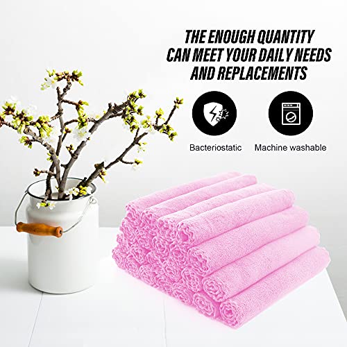 MOONQUEEN Ultra Soft Premium Washcloths Set - 12 x 12 inches - 24 Pack - Quick Drying - Highly Absorbent Coral Velvet Bathroom Wash Clothes - Use as Bath, Spa, Facial, Fingertip Towel (Frozen Berry)