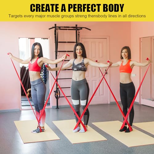Resistance Exercise Band Kit,4 Pack Resistance Bands for Women or Men,Physiotherapy Recovery Fitness Band for Mobility Strength & Rehab Premium Quality