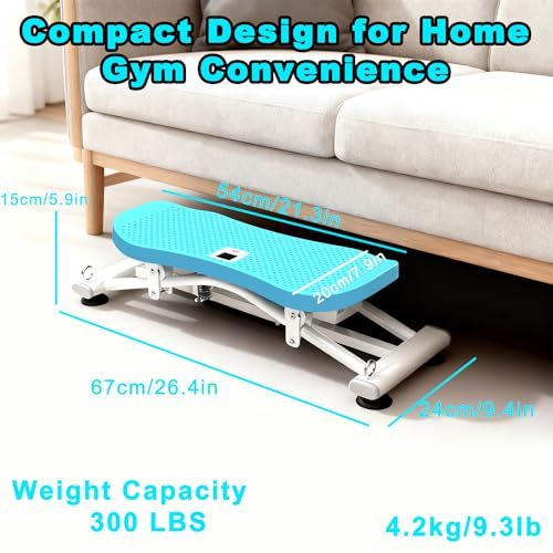 Sliding Ski Simulator with Resistance Bands, Indoor Skiing Fitness Equipment with Non-Slip Base for Home Gym, Full-Body Cardio Training Machine for Core Leg Arm Workout