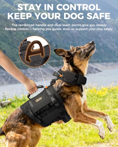 Weighted Dog Vest and Collar Set with 4 Removable 0.88 lb Weight Blocks, No Sand Filling, Training Gear for Medium and Large Dogs, Walking, Conditioning, Muscle Building-XL