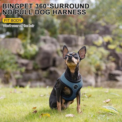 BINGPET Small Dog Harness, No Pull Step-in Puppy Pet Vest, Blue - color: Navy Blue, size: XS (NECK: 10", CHEST: 10"-14")