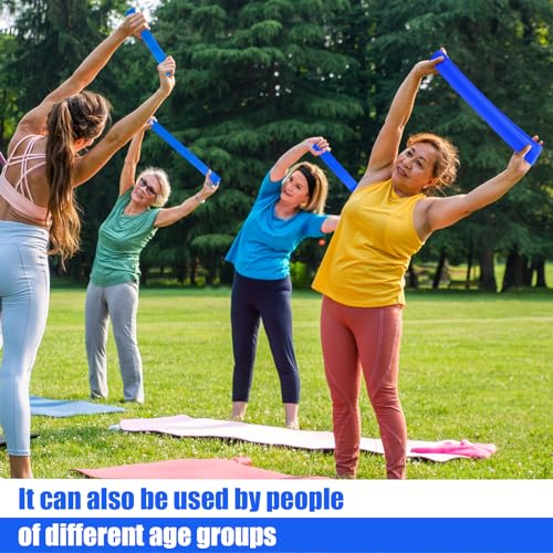 20 Pcs Resistance Bands Resistance Loop Exercise Bands Exercise Equipment Elastic Drap Ring for Women and Men Home Fitness, Gym, Yoga - color: Blue, size: 25-30 lbs