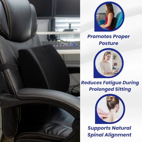 Bodyline Back-Huggar - Traditonal/Regular Style - The Original Lumbar Cushion - Black