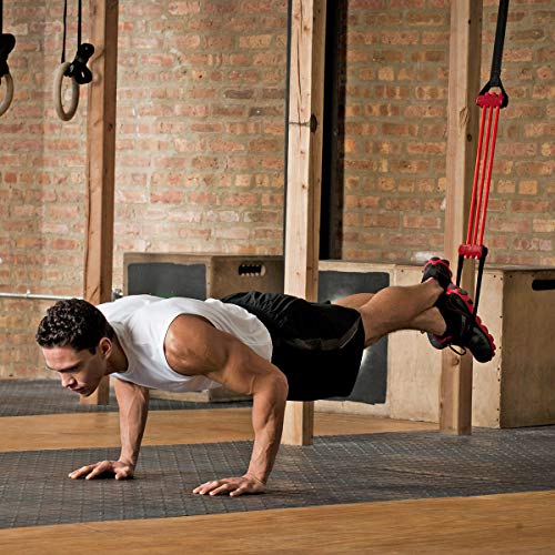 Lifeline Pull Up Revolution Assistance System to Improve Arm, Shoulders and Chest Strength with Assisted Pull Ups and Chin Ups, 3 x 10 x 6.5 inches Red