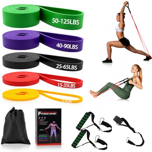 Resistance Bands Set, Anti-Snap Workout Bands with Handles, Stackable Resistance Bands for Men & Women, Home Gym Equipment with Door Anchor for Strength Training & Full Body Workout