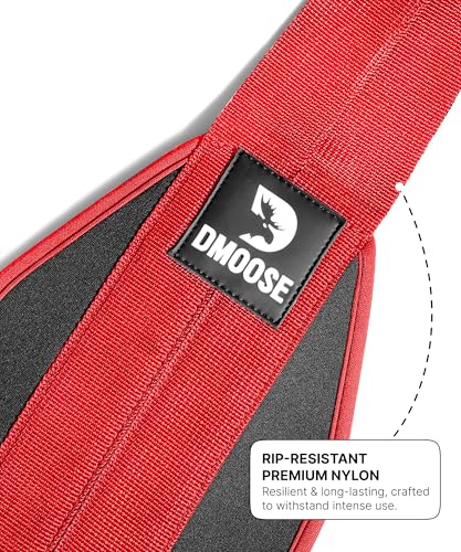 DMoose Fitness Hanging Ab Straps for Pull Up Bar & Core Strength Training - Soft Padded Exercise Straps for Ab Swing & Leg Raises, Hang Bar Strap with 2 Steel Carabiners - Abs Equipment for Home & Gym