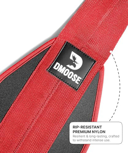 DMoose Fitness Hanging Ab Straps for Pull Up Bar & Core Strength Training - Soft Padded Exercise Straps for Ab Swing & Leg Raises, Hang Bar Strap with 2 Steel Carabiners - Abs Equipment for Home & Gym