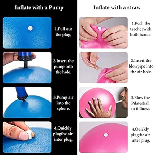 6 Inch Exercise Pilates Mini Yoga Balls Barre for Home Stability Squishy Training Physical Therapy Improves Balance Core Strength Comes with Pump(Black, 6 Inch)