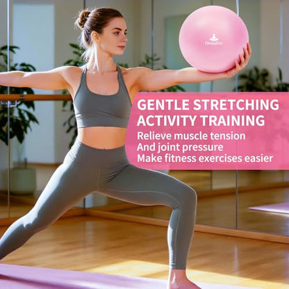 9 Inch Pink Pilates Ball, Exercise Stability Yoga Ball Small Exercise Ball with Air Pump for Core Workout, Balance Training, Home Gym, Office, Physical Therapy