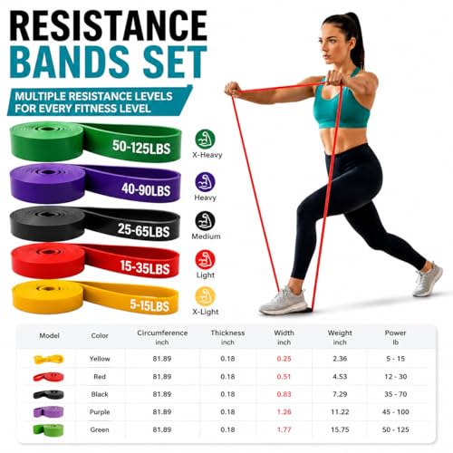 Resistance Bands Set, Anti-Snap Workout Bands with Handles, Stackable Resistance Bands for Men & Women, Home Gym Equipment with Door Anchor for Strength Training & Full Body Workout