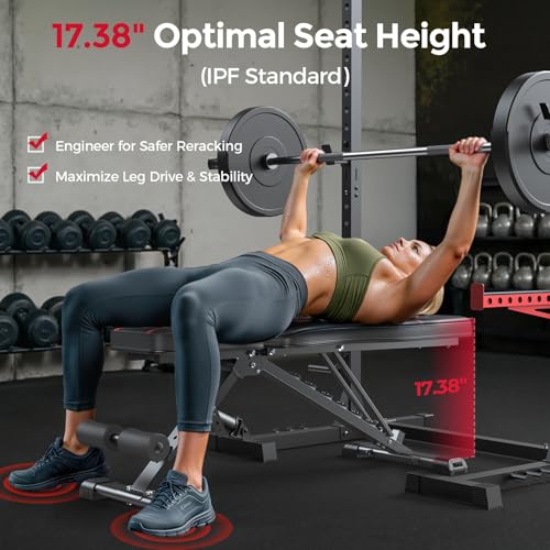 FLYBIRD Adjustable Weight Bench, Full Body Workout Bench for Home Gym - size: L