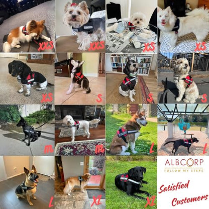 Reflective Therapy Dog Vest Harness with 2 Removable Patches, Adjustable Woven Nylon, for Therapy Visits and Volunteer Programs, Black, Large - color: Black, size: L 27''- 36'' Girth