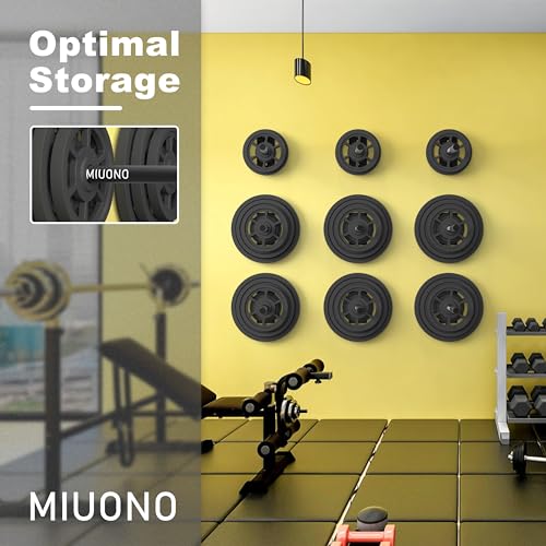 Weight Plate Holder, Wall Mounted Weight Rack Storage for Weight Plates, Home Gym Organizer