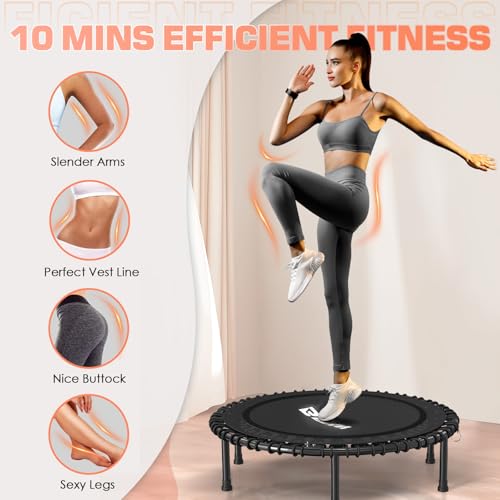 BCAN BT2 Mini Rebounder Trampoline for Adults|Bungee|No Handle|FED Fitness - color: 40-Black, size: 40IN