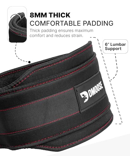 DMoose Fitness Dip Belt for Weight Lifting, Pullup, Squats & Dips - 36" Robust Steel Chain, Comfortable Neoprene Padding Supports 350lbs - Gym Weight Belt for Strength Training Workout & Weightlifting
