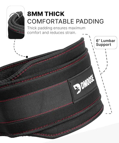 DMoose Fitness Dip Belt for Weight Lifting, Pullup, Squats & Dips - 36" Robust Steel Chain, Comfortable Neoprene Padding Supports 350lbs - Gym Weight Belt for Strength Training Workout & Weightlifting