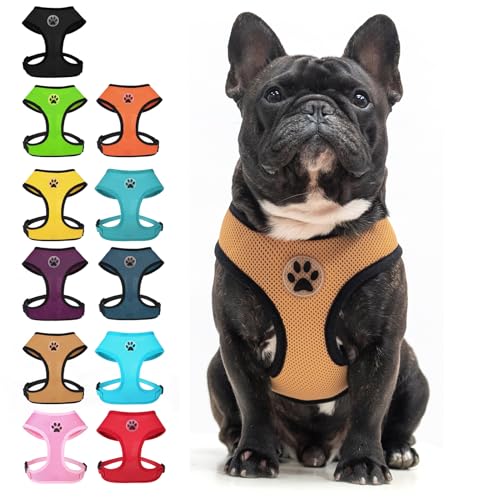 BINGPET Small Dog Harness, No Pull Dog Harness Small Sized Dogs, Soft Light Breathable Mesh Puppy Vest with Safety Buckle-Adjustable Step in Pet Harnesses for Easy Walking, Running, Training