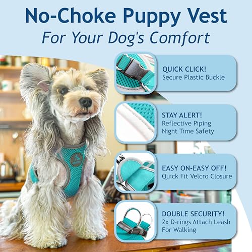 Kruz Dog Harness (Chest 16"-17", Weight 10–15 lbs) Athletica Adjustable Heavy Duty No Choke Puppy Vest for Small Dogs Lightweight Air Mesh, Reflective, Puppy Essentials – Turquoise, Medium