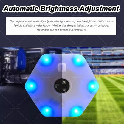 Smart Reaction Training Lights, Agile Reaction Fitlight, with App, for Improve Speed Agility Training Boxing Reflex, Focus, Soccer Basketball Boxing Training (12lights)