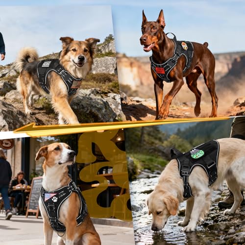 rabbitgoo Tactical Dog Harness for Medium, Heavy Duty Military No Pull Vest - color: Black Reflex, size: Medium