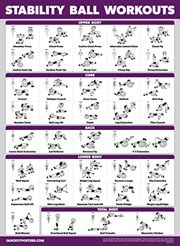 Palace Learning 2 Pack - Yoga Ball Workout Exercises Volume 1 & Volume 2 - Stability Ball Routine - Fitness Charts