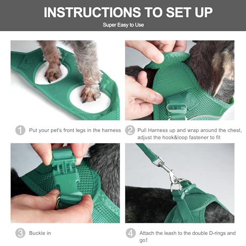 Fida Cat Harness and Leash Set for Walking Kitten and Puppy, Escape Proof Kitten Harness with Breathable Lightweight Soft Mesh, Adjustable Reflective Step-in Design. (XXXS, Green) - color: Turquoise, size: XXXS (Neck:10.2"-11.4"; Girth:11.4"-12.6")