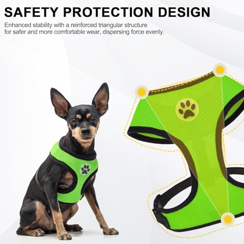BINGPET Small Dog Harness, No Pull Step-in Puppy Pet Vest, Green - color: Green, size: XS (NECK: 10", CHEST: 10"-14")