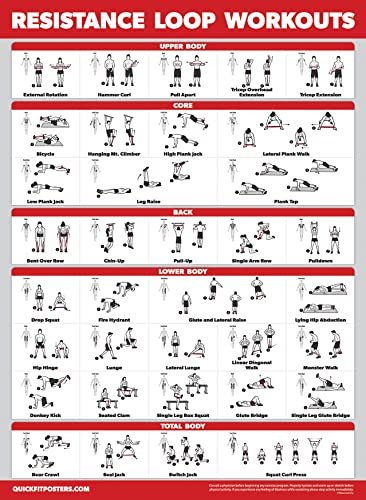 Palace Learning 4 Pack - Resistance Bands Workout Exercise Posters Volume 1, 2 & 3 + Resistance Loops Fitness Chart (LAMINATED, 18" x 24") - color: LAMINATED