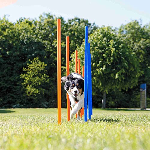 Dog Agility Training Equipment Set, Puppy Jump Training Obstacle Course Starter Kit Pet Agility Outdoor Games Dog Outdoor Games with Tunnel, Weave Poles, Adjustable Hurdle, Jump Ring