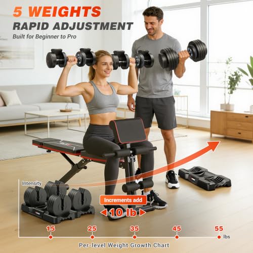 GIKPAL Adjustable Weight Bench - Workout Bench Press for Home Gym - color: Black 5-Gear 55LB Pair