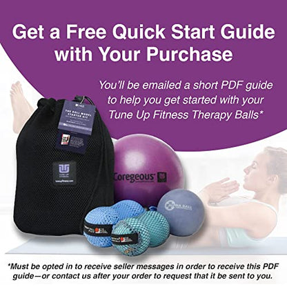 YOGA TUNE UP® Therapy Balls in Tote by Tune Up Fitness - Massage Balls for Trigger Point, Pressure Point & Myofascial Release - Use as Single or Peanut Ball for Pain Relief & Relaxation (Deep Purple)