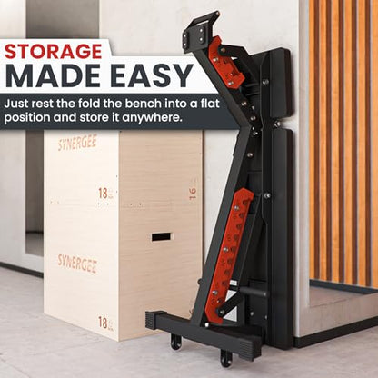 Synergee Adjustable Wing Back Workout Bench. Weight Bench for Dumbbell & Barbell Press Exercises & Workouts. Great for Commercial, Garage and Home Gym.