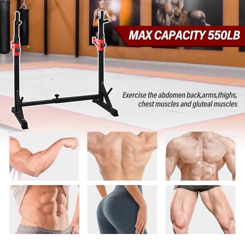 Adjustable Squat Rack Stand with Barbell Rack, Weight Plate Holder, J Hooks,Dip Bar Station for Bench Press Strength Training Max Load 550LBS Suitable