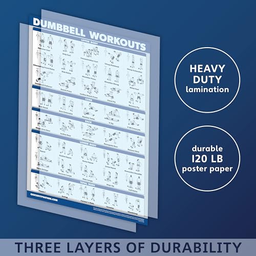 Palace Learning 4 Pack - Dumbbell Workouts + Bodyweight Exercises + Resistance Bands Workouts + Warm Up Exercises - Set of 4 Workout Charts (LAMINATED, 18” x 24”) - color: LAMINATED