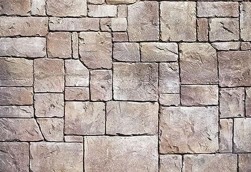 Kate Photography Floor Mat Vintage Stone Wall Rubber Backdrop 8x5ft - color: Brick, size: 8x5ft