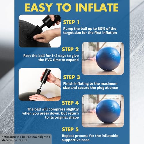 ProBody Pilates Yoga Ball Chair, Exercise Ball Chair with Base or Stand for Home Office Desk Sitting or Workout, 65cm Antiburst Balance & Stability Ball Seat, Large Gym Ball for Back, Abs - size: 65 cm