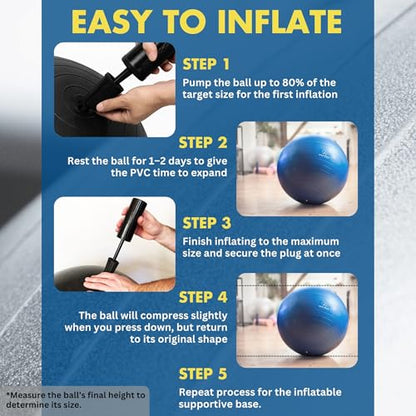 ProBody Pilates Yoga Ball Chair, Exercise Ball Chair with Base or Stand for Home Office Desk Sitting or Workout, 65cm Antiburst Balance & Stability Ball Seat, Large Gym Ball for Back, Abs - size: 65 cm