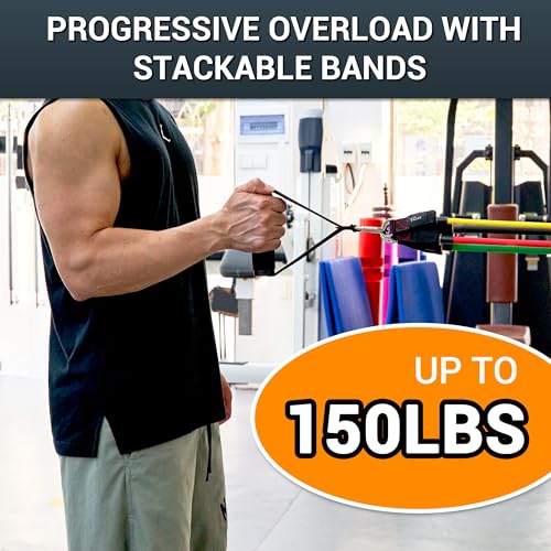 TheFitLife Resistance Bands Set with Handles, Door Anchor and Ankle Straps